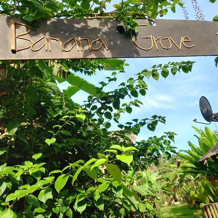Готель Banana Grove Ель-Нідо Екстер'єр фото